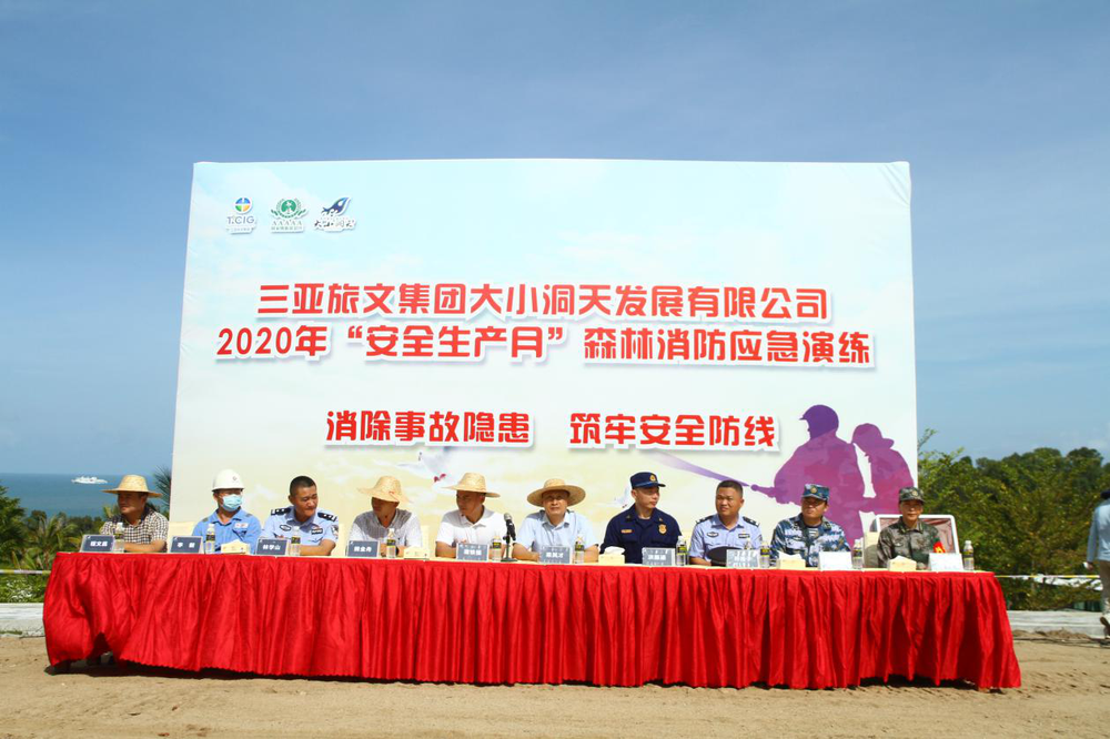 三亚旅游文化发展集团有限公司