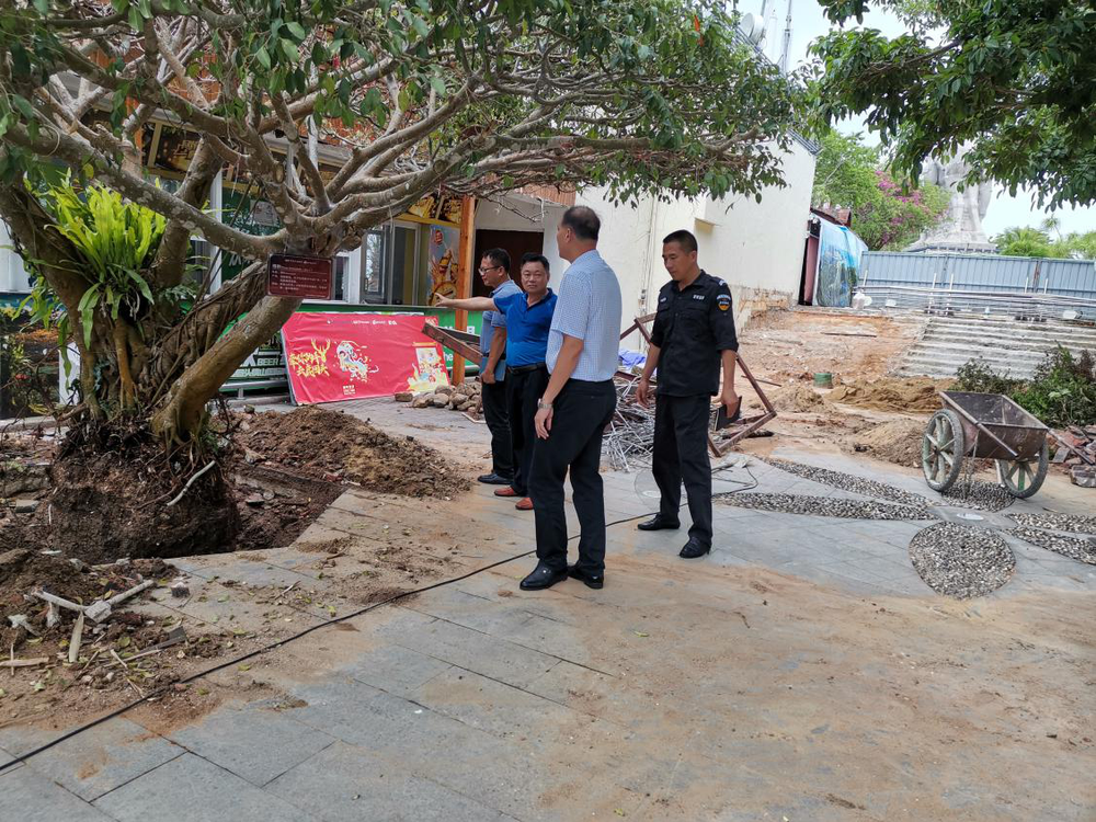 三亚旅游文化发展集团有限公司