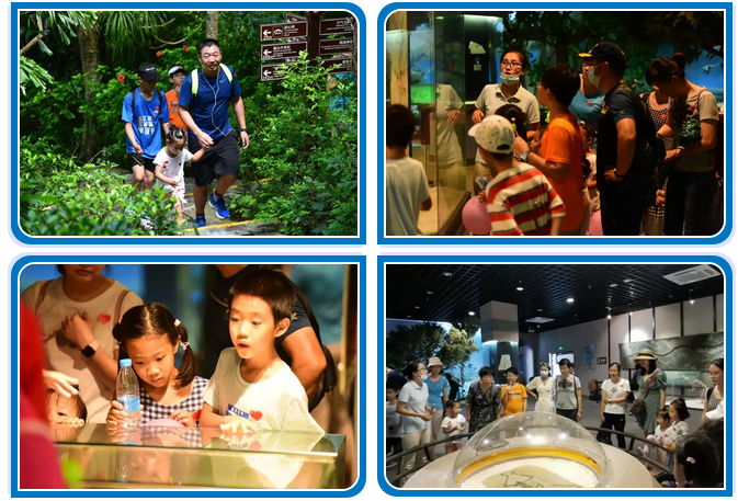 三亚旅游文化发展集团有限公司