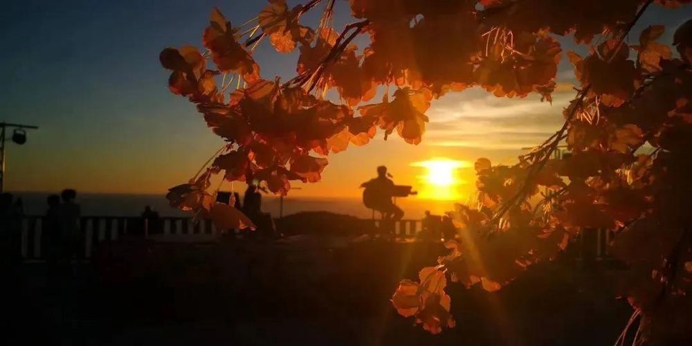 三亚旅游文化发展集团有限公司