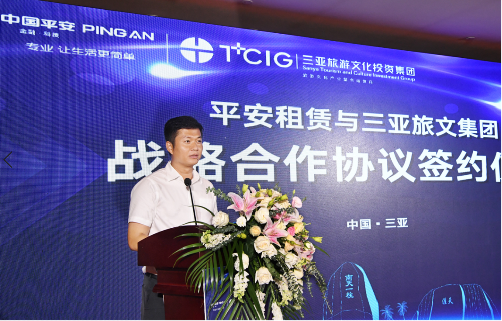 三亚旅游文化发展集团有限公司