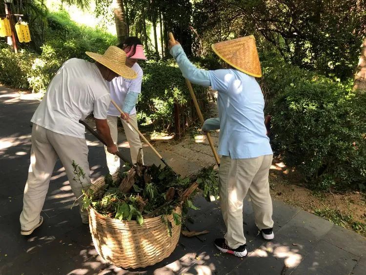 三亚旅游文化发展集团有限公司
