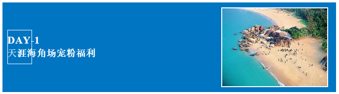 三亚旅游文化发展集团有限公司