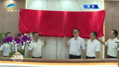 三亚旅游文化发展集团有限公司