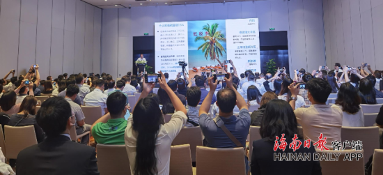 三亚旅游文化发展集团有限公司