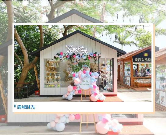 三亚旅游文化发展集团有限公司