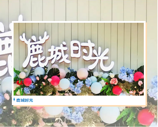 三亚旅游文化发展集团有限公司