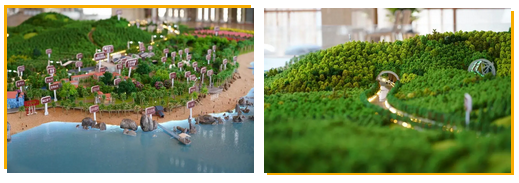 三亚旅游文化发展集团有限公司