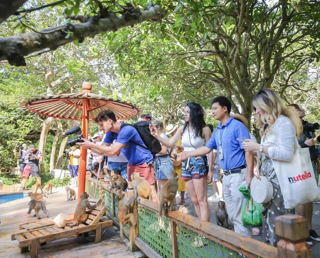 三亚旅游文化发展集团有限公司