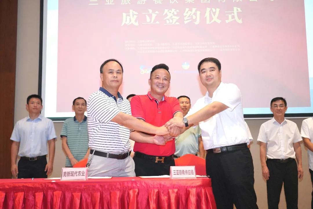 三亚旅游文化发展集团有限公司