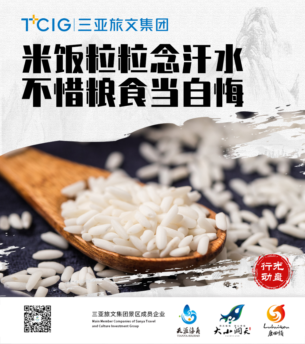 三亚旅游文化发展集团有限公司