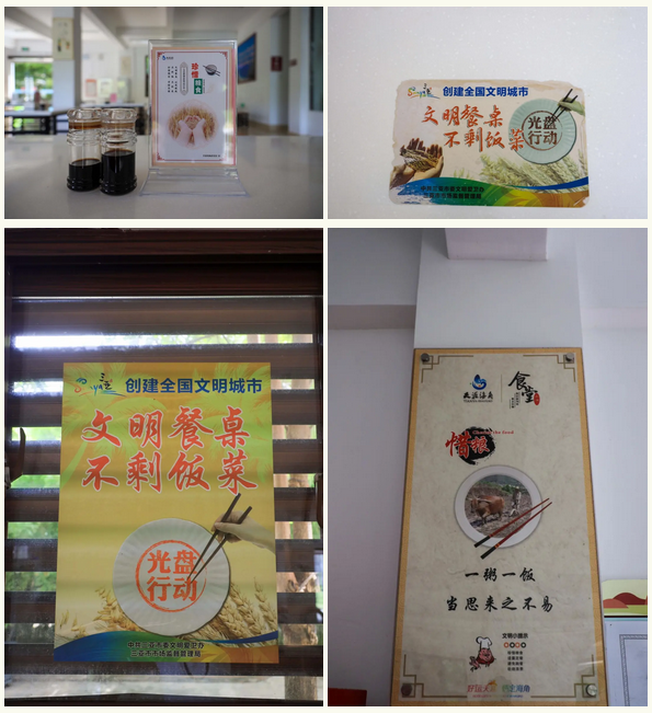 三亚旅游文化发展集团有限公司