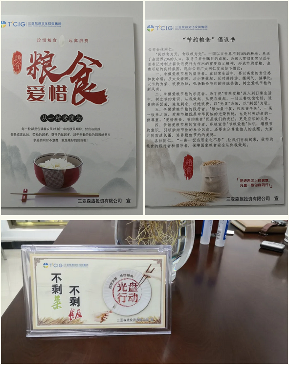 三亚旅游文化发展集团有限公司