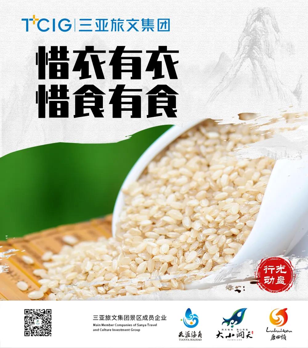 三亚旅游文化发展集团有限公司