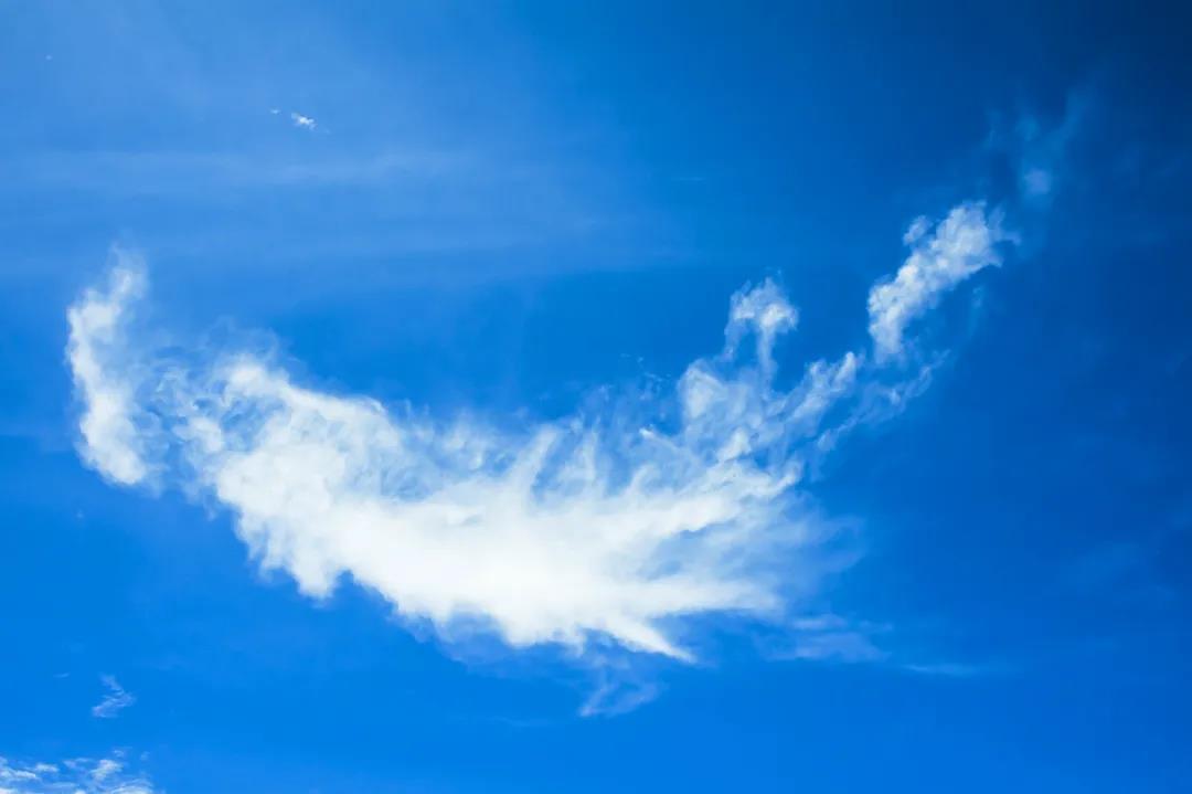 三亚旅游文化发展集团有限公司