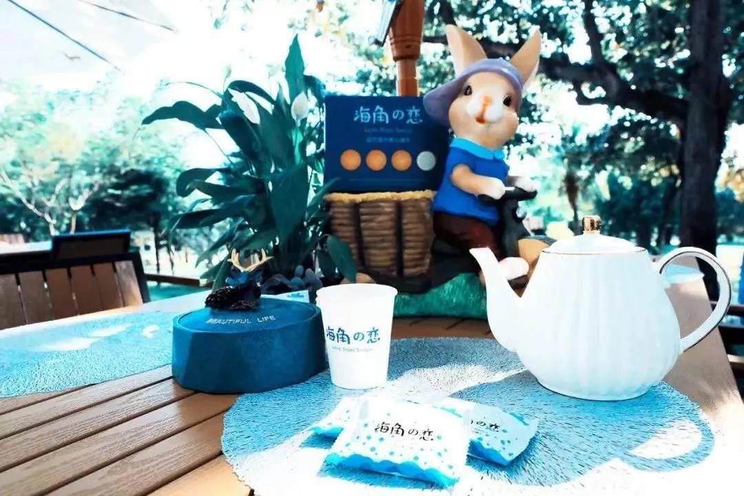 三亚旅游文化发展集团有限公司