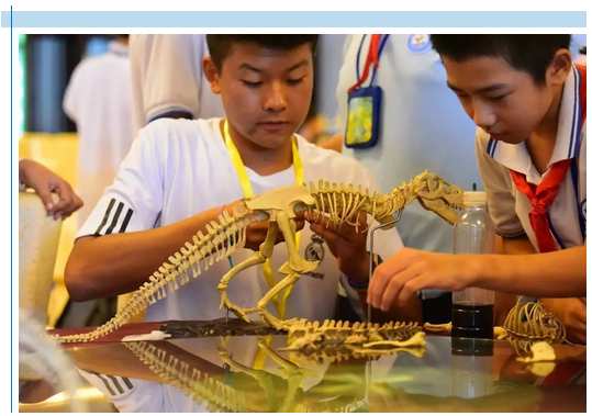 三亚旅游文化发展集团有限公司