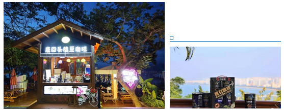 三亚旅游文化发展集团有限公司