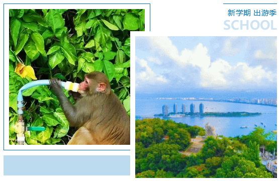 三亚旅游文化发展集团有限公司