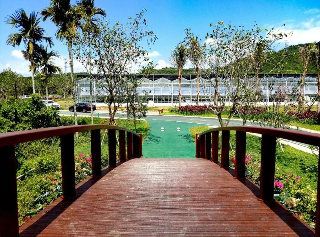 三亚旅游文化发展集团有限公司