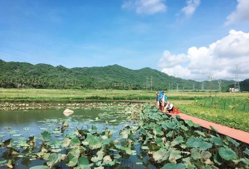三亚旅游文化发展集团有限公司