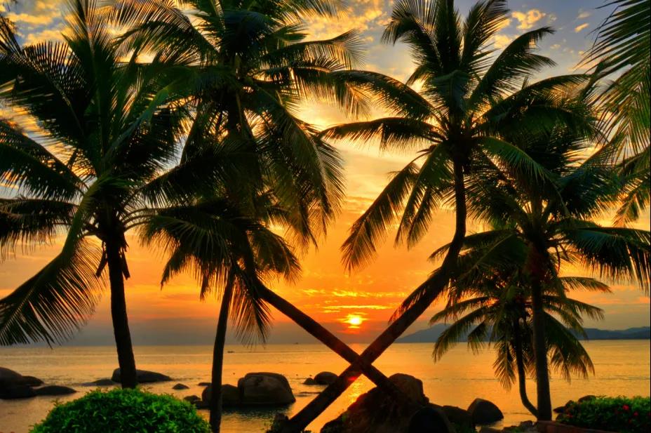 三亚旅游文化发展集团有限公司