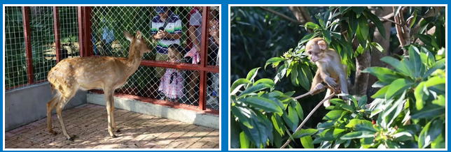 三亚旅游文化发展集团有限公司