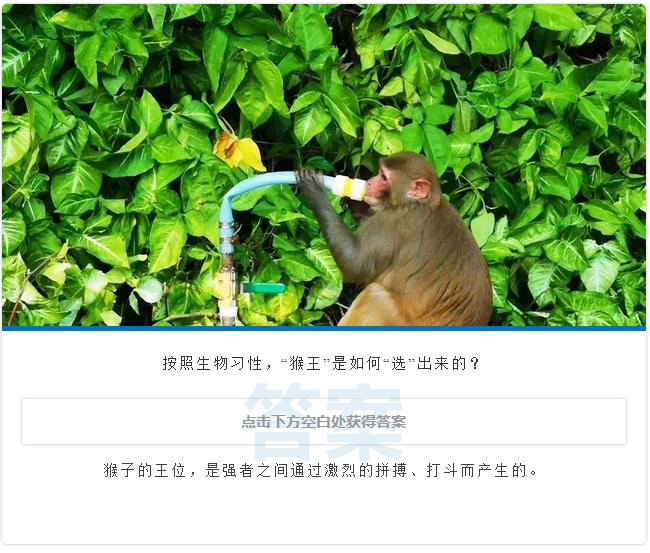 三亚旅游文化发展集团有限公司