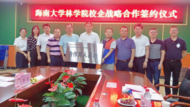 三亚旅游文化发展集团有限公司