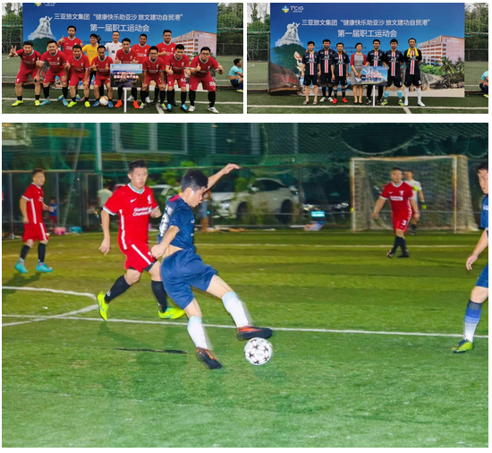 三亚旅游文化发展集团有限公司