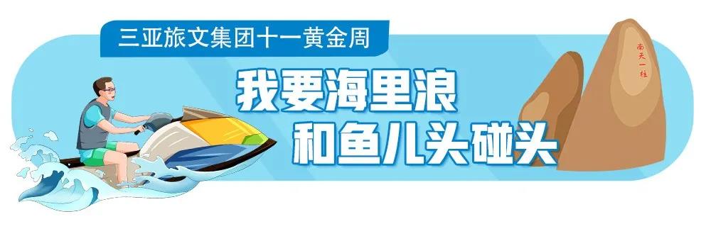 三亚旅游文化发展集团有限公司