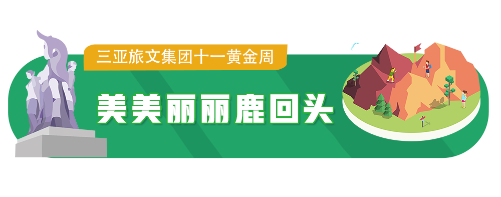 三亚旅游文化发展集团有限公司