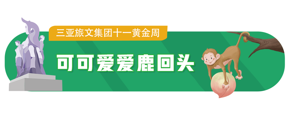 三亚旅游文化发展集团有限公司