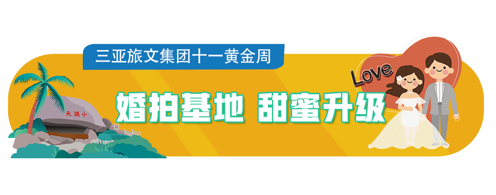 三亚旅游文化发展集团有限公司