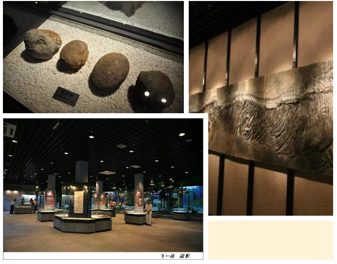 三亚旅游文化发展集团有限公司