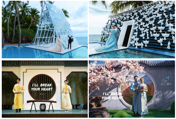 三亚旅游文化发展集团有限公司