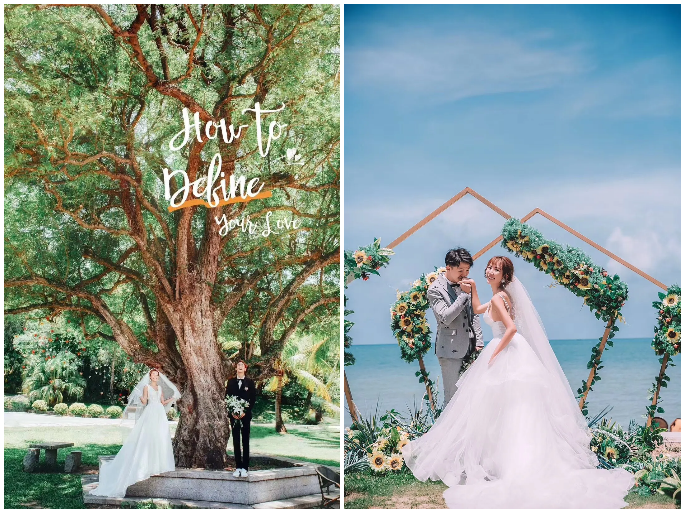 三亚旅游文化发展集团有限公司