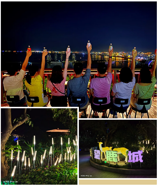 三亚旅游文化发展集团有限公司