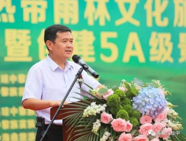 三亚旅游文化发展集团有限公司