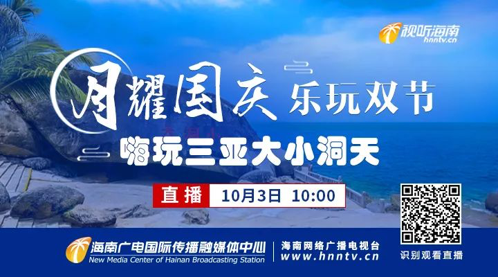 三亚旅游文化发展集团有限公司