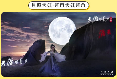 三亚旅游文化发展集团有限公司