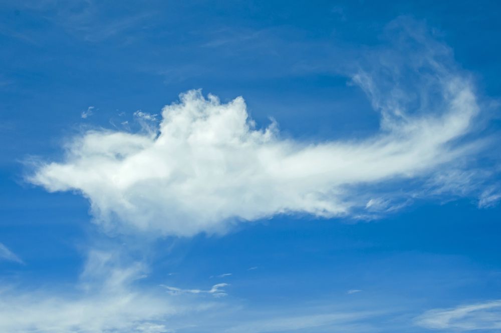 三亚旅游文化发展集团有限公司