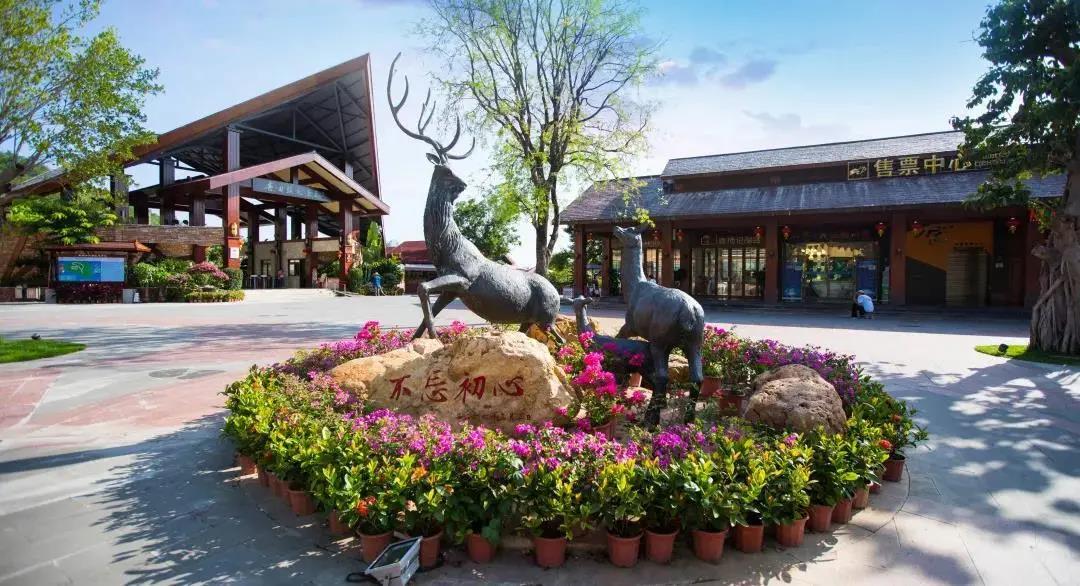 三亚旅游文化发展集团有限公司