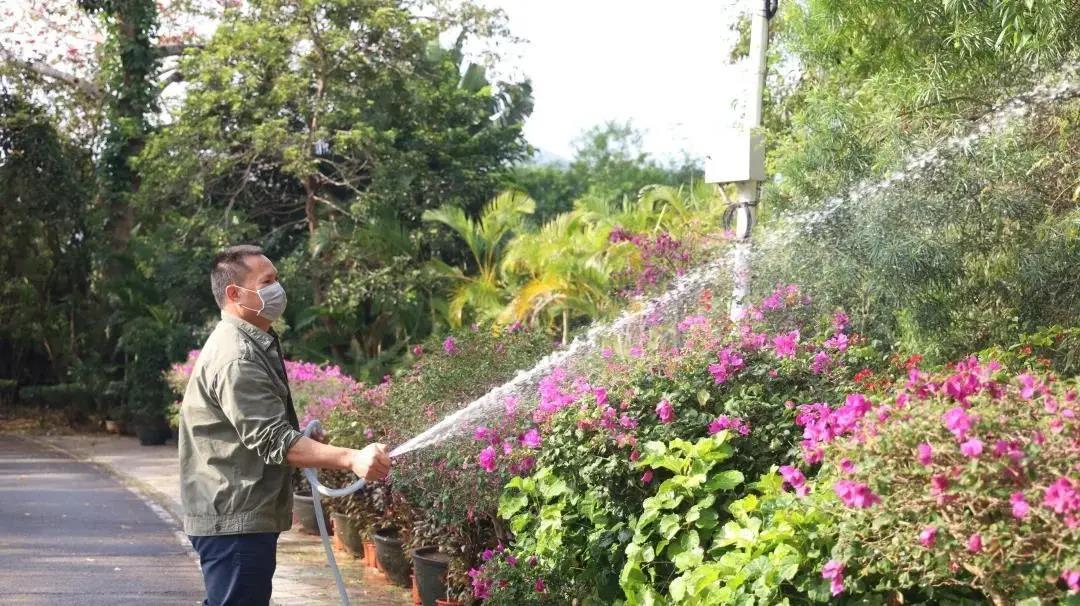 三亚旅游文化发展集团有限公司