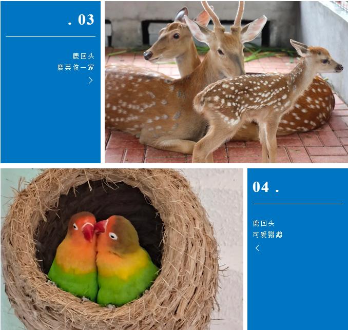 三亚旅游文化发展集团有限公司