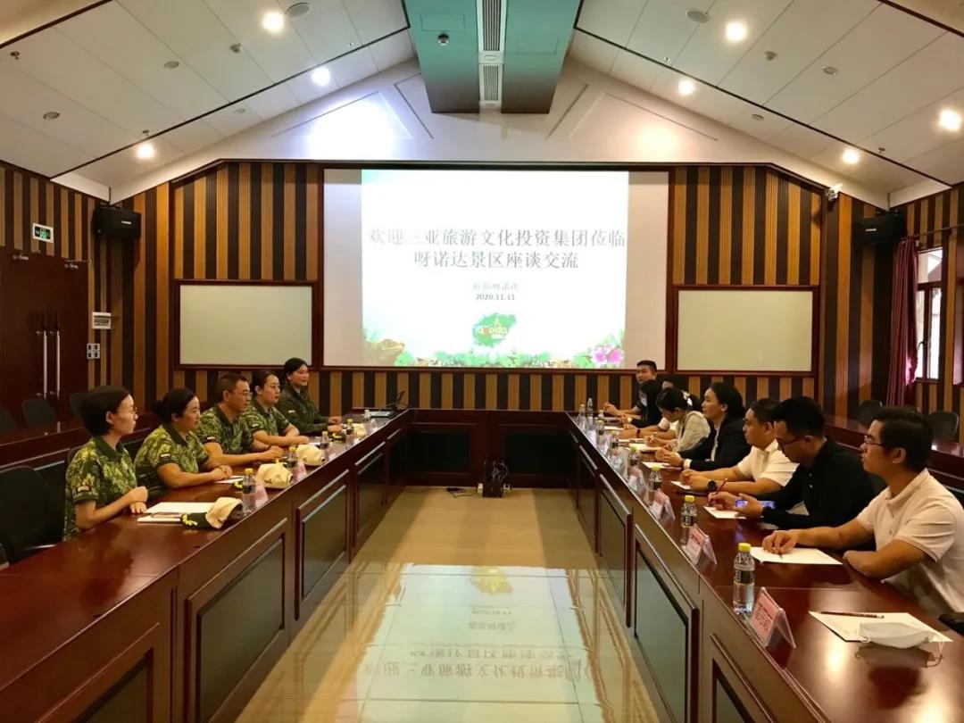 三亚旅游文化发展集团有限公司