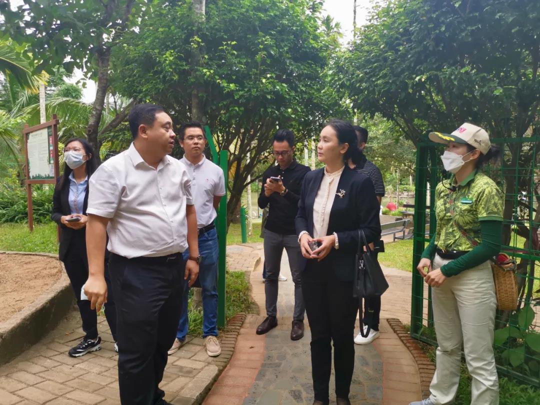 三亚旅游文化发展集团有限公司