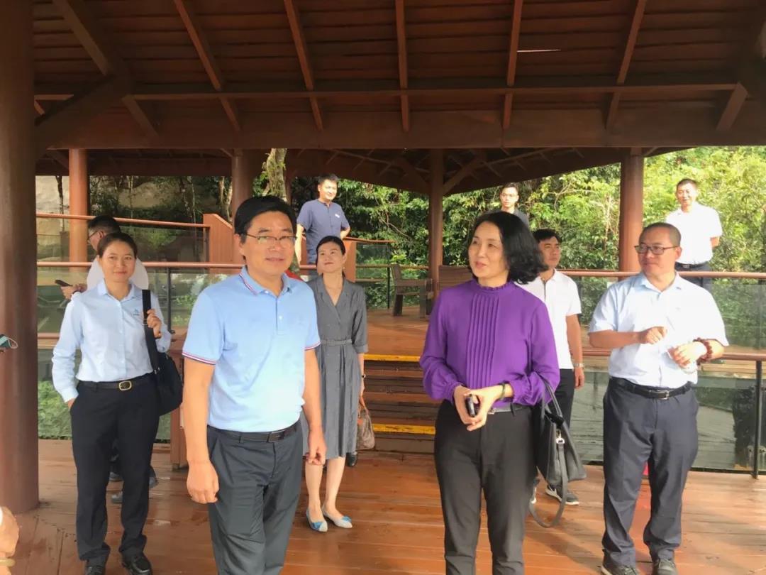 三亚旅游文化发展集团有限公司