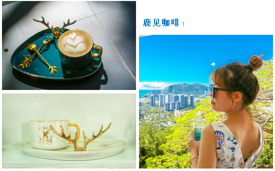 三亚旅游文化发展集团有限公司