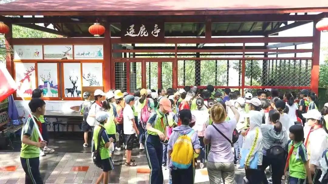 三亚旅游文化发展集团有限公司